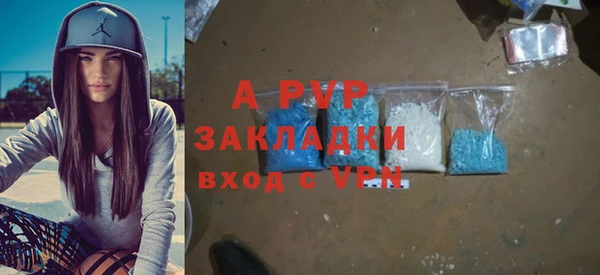 PSILOCYBIN Майский