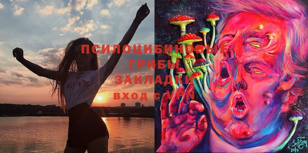 марки nbome Магадан