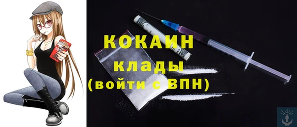 PSILOCYBIN Майский