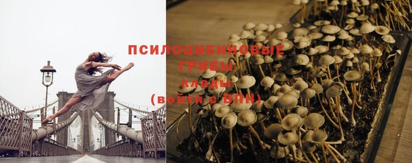 винт Магас