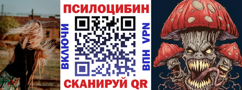 Купить где  Шлиссельбург  Галлюциногенные грибы Psilocybe 